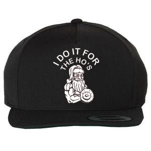 I Do It For The HoS Funny Santa Christmas Bodybuilding Cool Gift Wool Snapback Cap