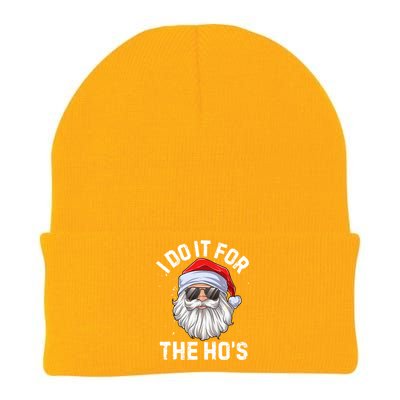 I Do It For The Hos Funny Inappropriate Christmas Santa Gift Knit Cap Winter Beanie