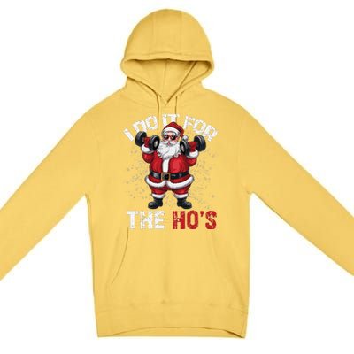 I Do It For The Hos Funny Christmas Santa Lifting Dumbbells Premium Pullover Hoodie