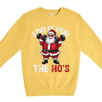 I Do It For The Hos Funny Christmas Santa Lifting Dumbbells Premium Crewneck Sweatshirt