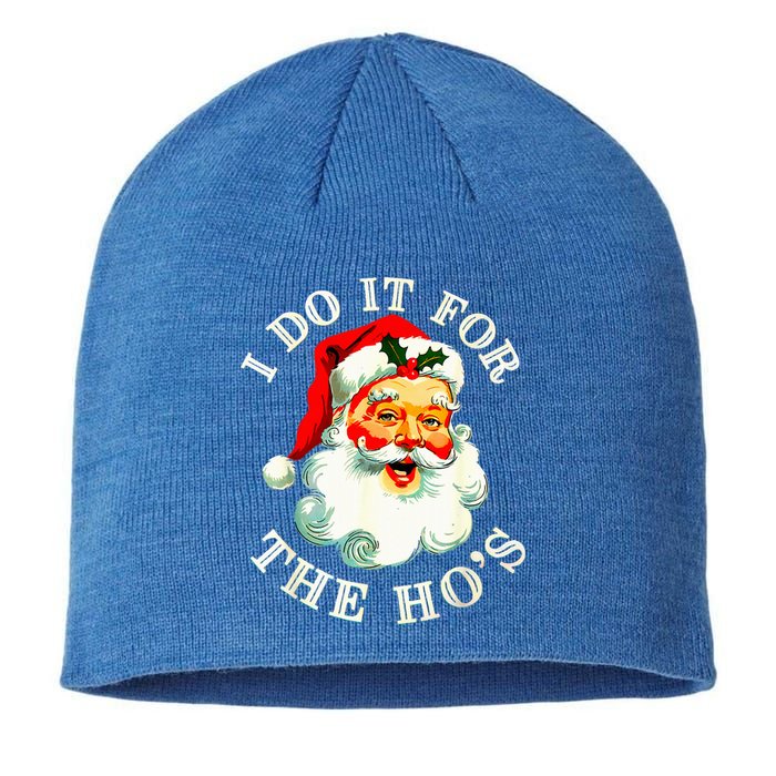 I Do It For The Hos Sustainable Beanie