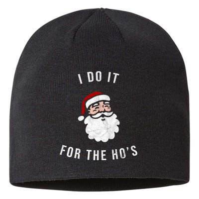 I Do It For The Ho's Sustainable Beanie
