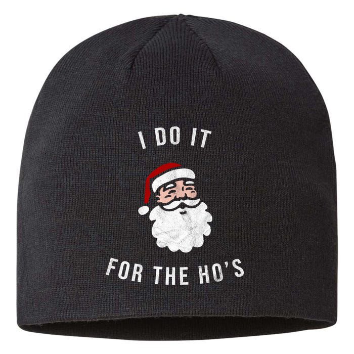 I Do It For The Ho's Sustainable Beanie