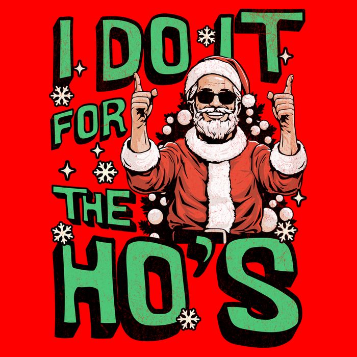 I Do It For The HoS Funny Christmas Santa Claus Flatbill Hat