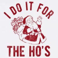 I Do It For The Hos Funny Santa Claus Christmas Holiday Women's V-Neck T-Shirt