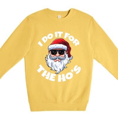 I Do It For The HoS Inappropriate Christmas Santa Claus Gift Premium Crewneck Sweatshirt