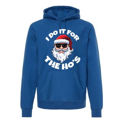 I Do It For The HoS Inappropriate Christmas Santa Claus Gift Premium Hoodie