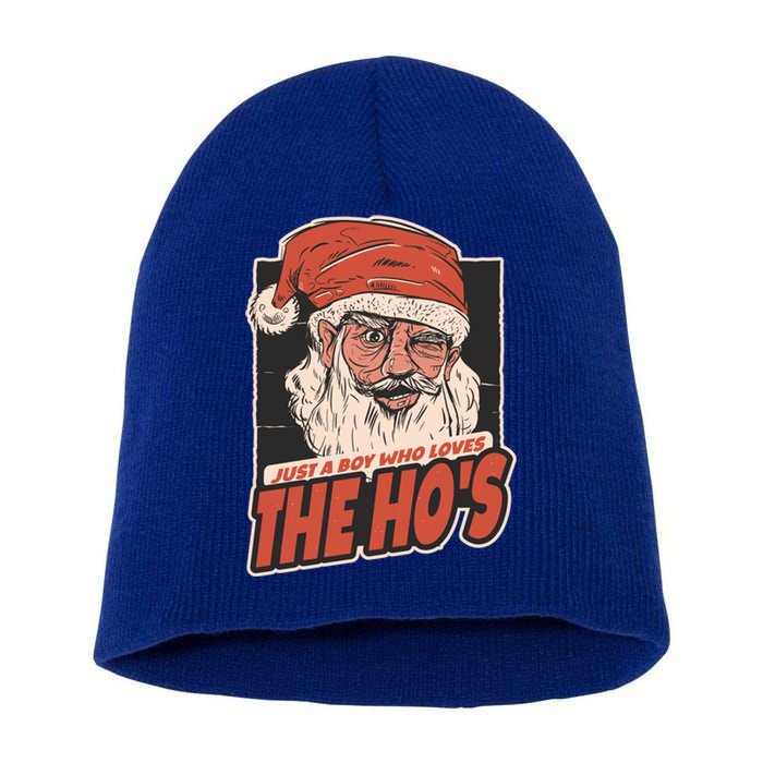 I Do It For The Hos Just A Who Loves The HoS Cute Gift Short Acrylic Beanie