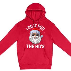 I Do It For The HoS Funny Inappropriate Christmas Santa Meaningful Gift Premium Pullover Hoodie