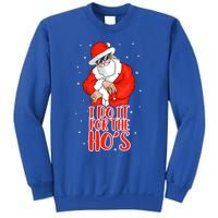 I Do It For The HoS Inappropriate Funny Christmas Adult Great Gift Sweatshirt