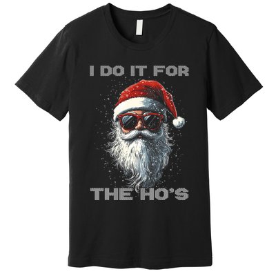 I Do It For The HoS Funny Santa Inappropriate Christmas Premium T-Shirt