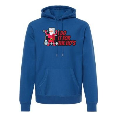 I Do It For The Hos Funny Santa Weight Lifting Christmas Gym Gift Premium Hoodie