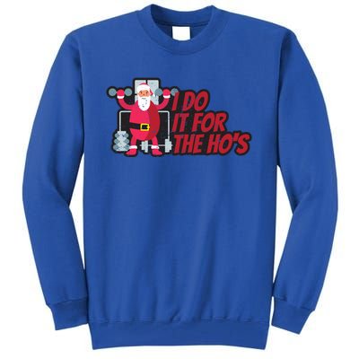 I Do It For The Hos Funny Santa Weight Lifting Christmas Gym Gift Tall Sweatshirt