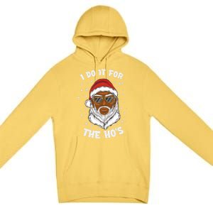 I Do It For The Hos Christmas African American Santa Black Gift Premium Pullover Hoodie