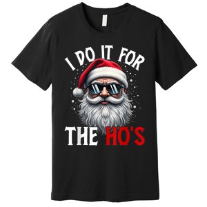 I Do It For The HoS Cute Xmas Premium T-Shirt