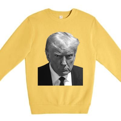 Iconic Donald J Trump Mugshot Black And White Georgia Arrest Gift Premium Crewneck Sweatshirt