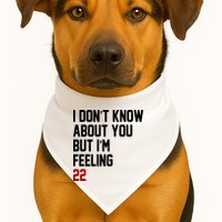 I Dont Know About You But Im Feeling 22 Birthday USA-Made Doggie Bandana