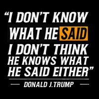 I Don’T Know What He Just Said At The End Of That Sentence Flat Bill Trucker Hat