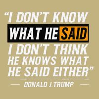 I Don’T Know What He Just Said At The End Of That Sentence T-Shirt