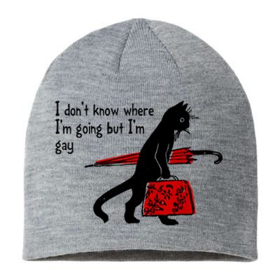 I Don't Know Where I'm Going But I'm Gay Funny Black Cat Sustainable Beanie