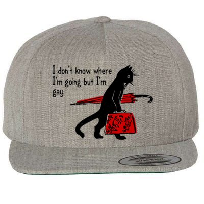 I Don't Know Where I'm Going But I'm Gay Funny Black Cat Wool Snapback Cap