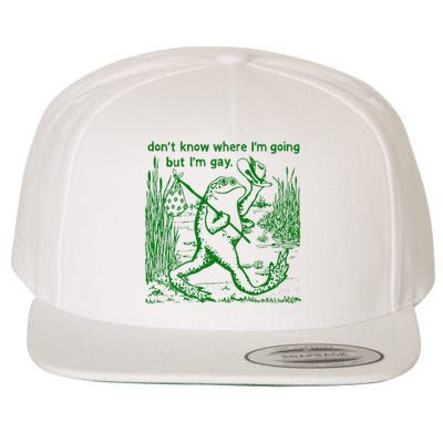 I DonT Know Where IM Going But IM Gay Frog Lgbt Pride Wool Snapback Cap