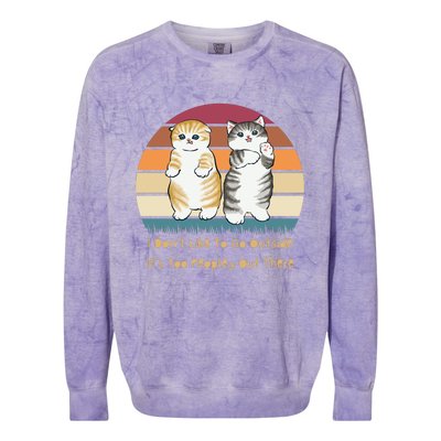 I Don't Like To Go Outside It's Too Peopley Out There | Cat Colorblast Crewneck Sweatshirt