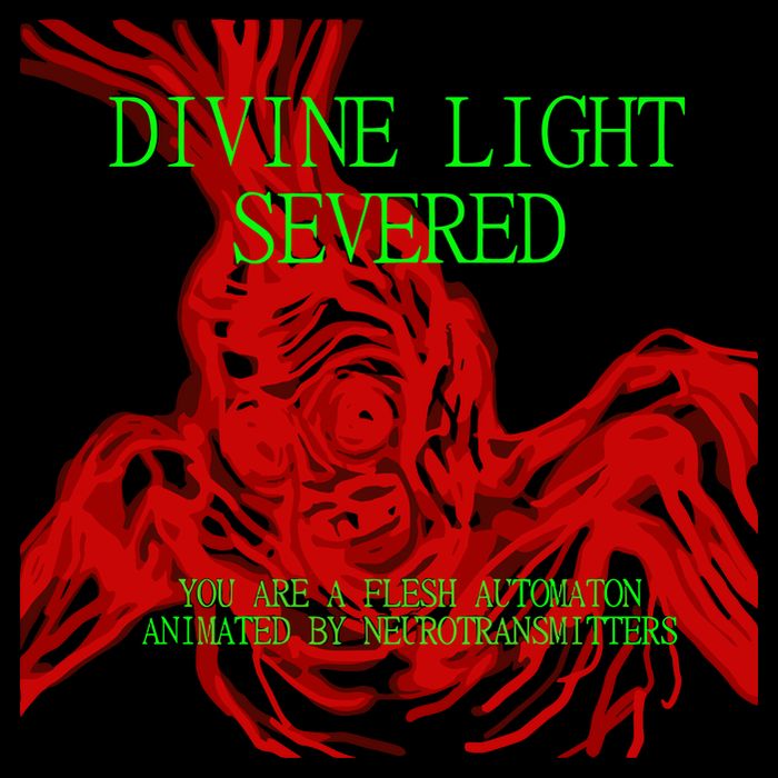 Ikono Divine Light Severed Cropped Pullover Crew
