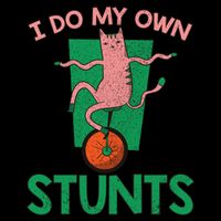 I Do My Own Stunts Funny Cat Gift Sweatshirt