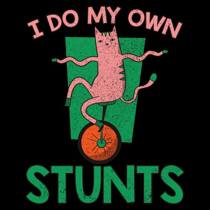 I Do My Own Stunts Funny Cat Gift Sweatshirt