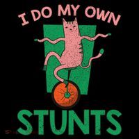 I Do My Own Stunts Funny Cat Gift T-Shirt