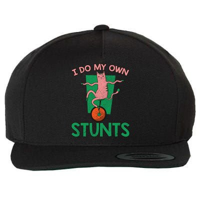 I Do My Own Stunts Funny Cat Gift Wool Snapback Cap