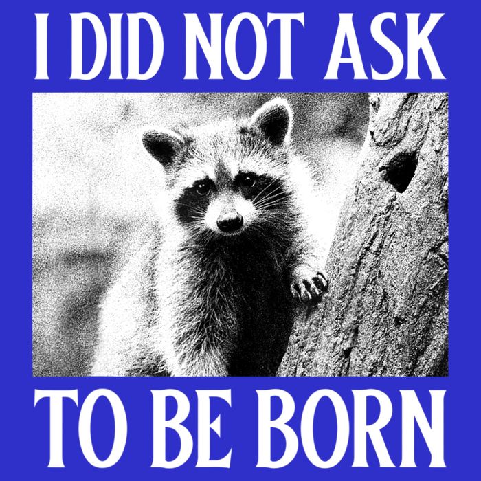 I Did Not Ask To Be Born Raccoon Lovers Garbage Trash Panda T-Shirt
