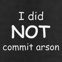 I Did Not Commit Arson Beanie