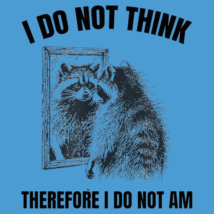 I Do Not Think Therefore I Do Not Am Raccoon Philosopher Tie Dye Hoodie