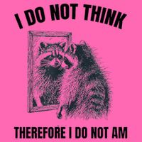 I Do Not Think Therefore I Do Not Am Raccoon Philosopher Stripe Pom Pom Beanie