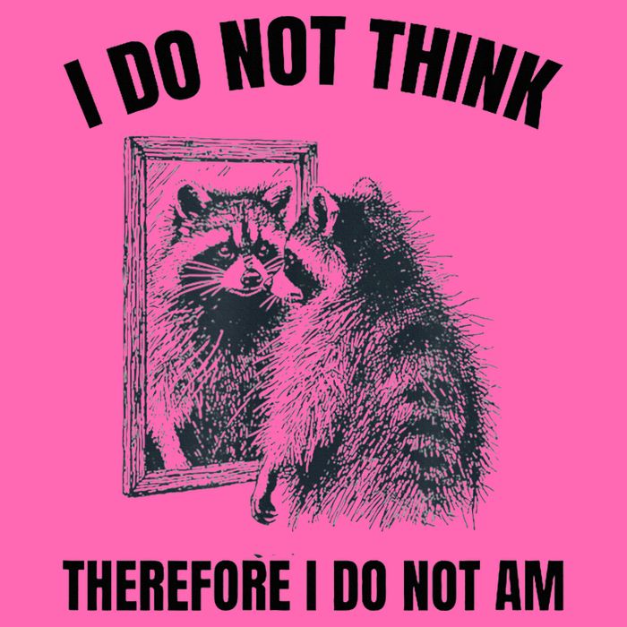 I Do Not Think Therefore I Do Not Am Raccoon Philosopher Stripe Pom Pom Beanie