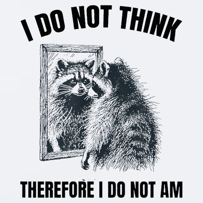 I Do Not Think Therefore I Do Not Am Raccoon Philosopher Sueded Cloud Jersey T-Shirt