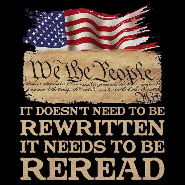 It DoesnT Need To Be Rewritten It Needs To Be Reread Premium T-Shirt