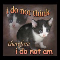 I Do Not Think Therefore I Do Not Am Cat Meme 16oz Travel Tumbler