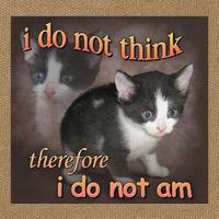 I Do Not Think Therefore I Do Not Am Cat Meme Cotton Canvas Backpack