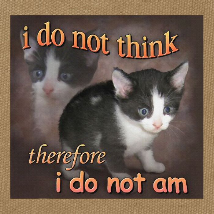 I Do Not Think Therefore I Do Not Am Cat Meme Cotton Canvas Backpack
