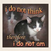 I Do Not Think Therefore I Do Not Am Cat Meme Garment-Dyed Women's Muscle Tee