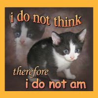 I Do Not Think Therefore I Do Not Am Cat Meme Sustainable Knit Beanie