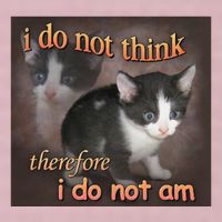 I Do Not Think Therefore I Do Not Am Cat Meme 25L Jumbo Tote
