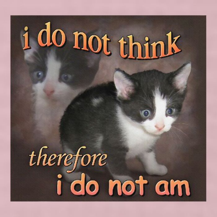 I Do Not Think Therefore I Do Not Am Cat Meme 25L Jumbo Tote