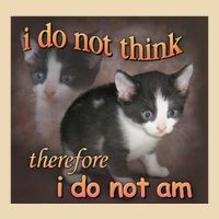 I Do Not Think Therefore I Do Not Am Cat Meme Bag