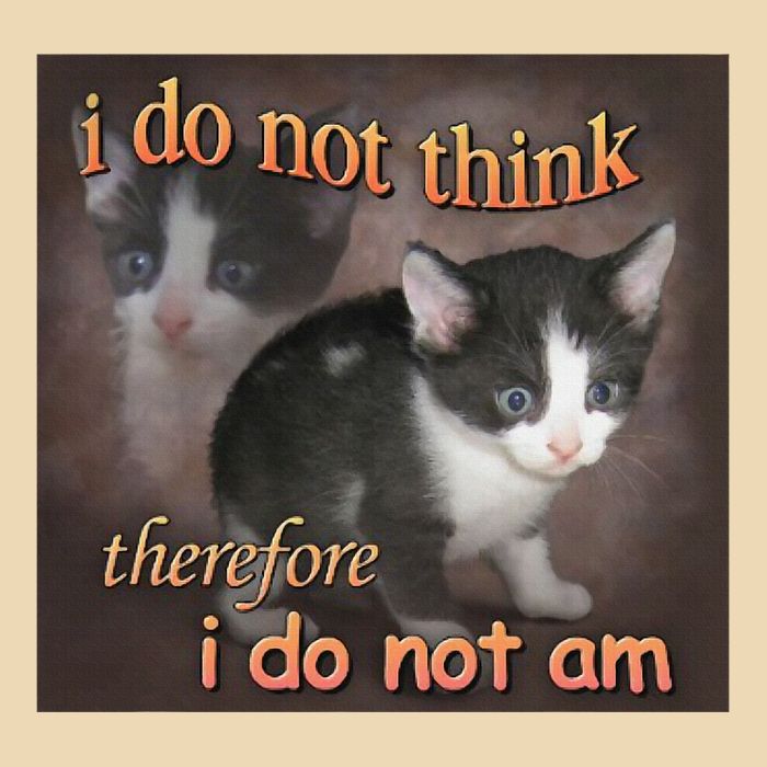 I Do Not Think Therefore I Do Not Am Cat Meme Bag