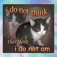 I Do Not Think Therefore I Do Not Am Cat Meme Legacy Tie Dye Trucker Hat