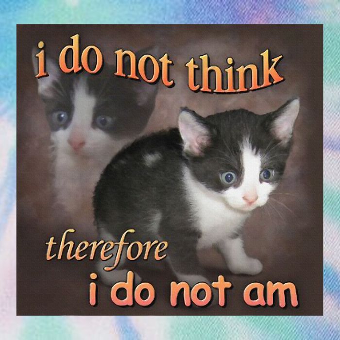 I Do Not Think Therefore I Do Not Am Cat Meme Legacy Tie Dye Trucker Hat